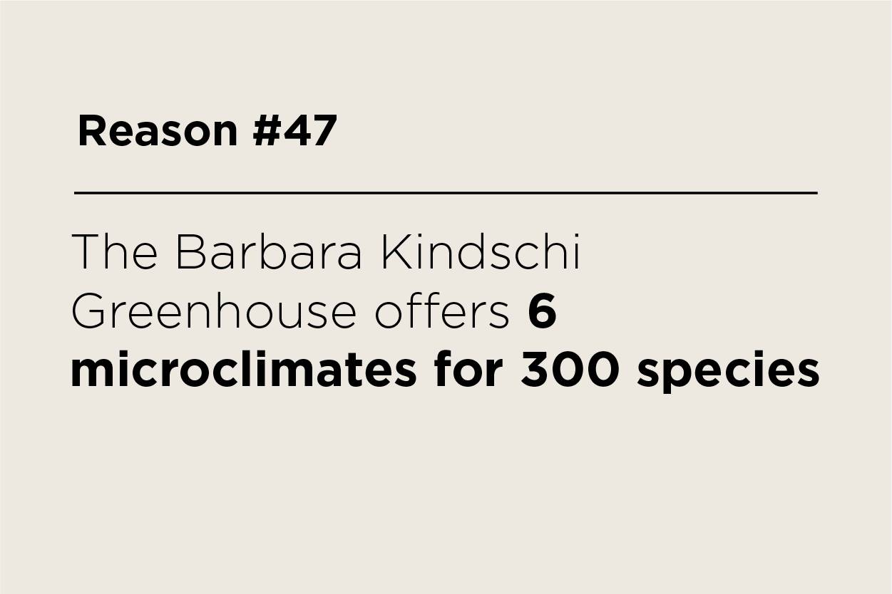 The Barbara Kindschi Greenhouse offers 6 microclimates for 300 species.